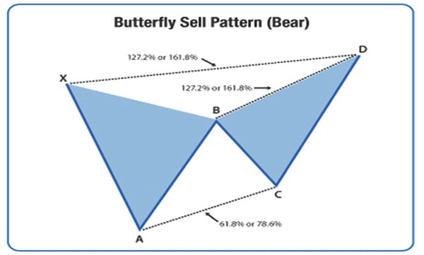 Mô hình Harmonic cánh bướm tại đỉnh