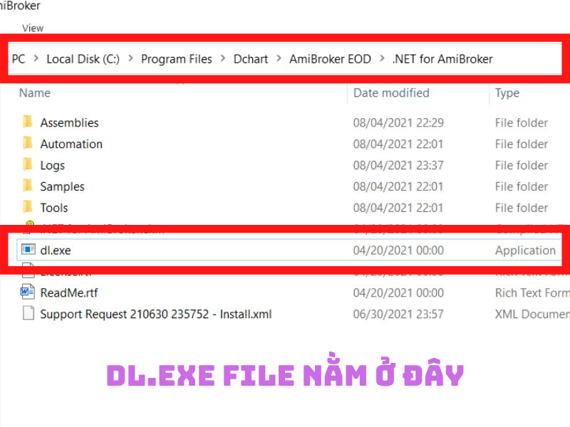 File dl.exe dùng dể thực hiện kích hoạt file dotnetforab