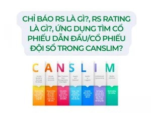 Chỉ báo RS là gì RS Rating là gì Ứng dụng tìm CANSLIM