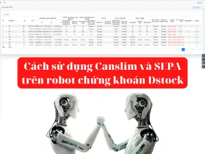 Cách sử dụng Canslim và SEPA trên robot chứng khoán Dstock