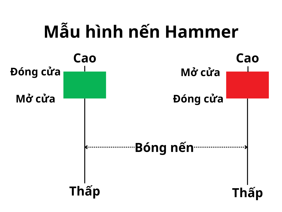 Cấu tạo mẫu hình nến Hammer