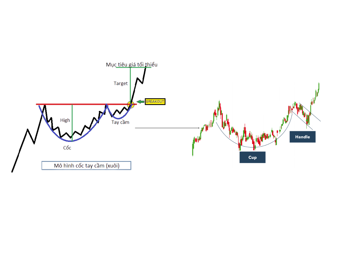 Mô hình cốc và tay cầm (Cup and Handle)